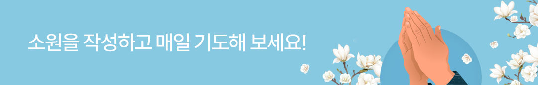 배너